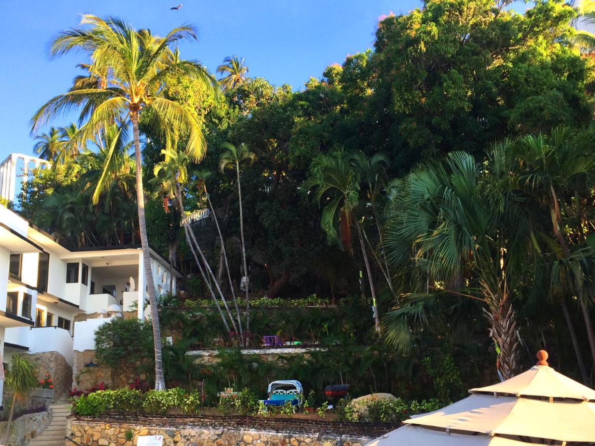 Villa Palmitas Acogedor Departamento Nivel Piscina Gigante Jardines Akapulko Dış mekan fotoğraf